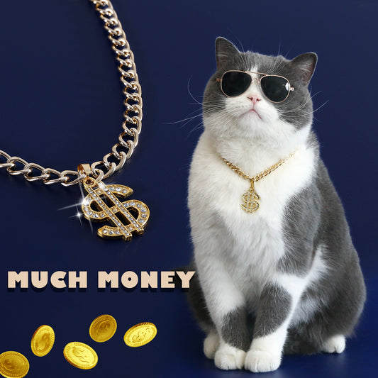 Cat wearing gold dollar sign pet necklace
