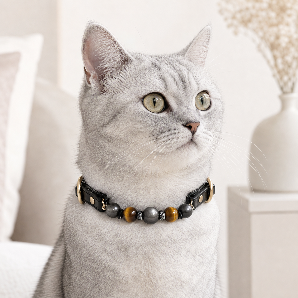 Silver cat wearing Tolan silver obsidian and tiger eye pet crystal collar