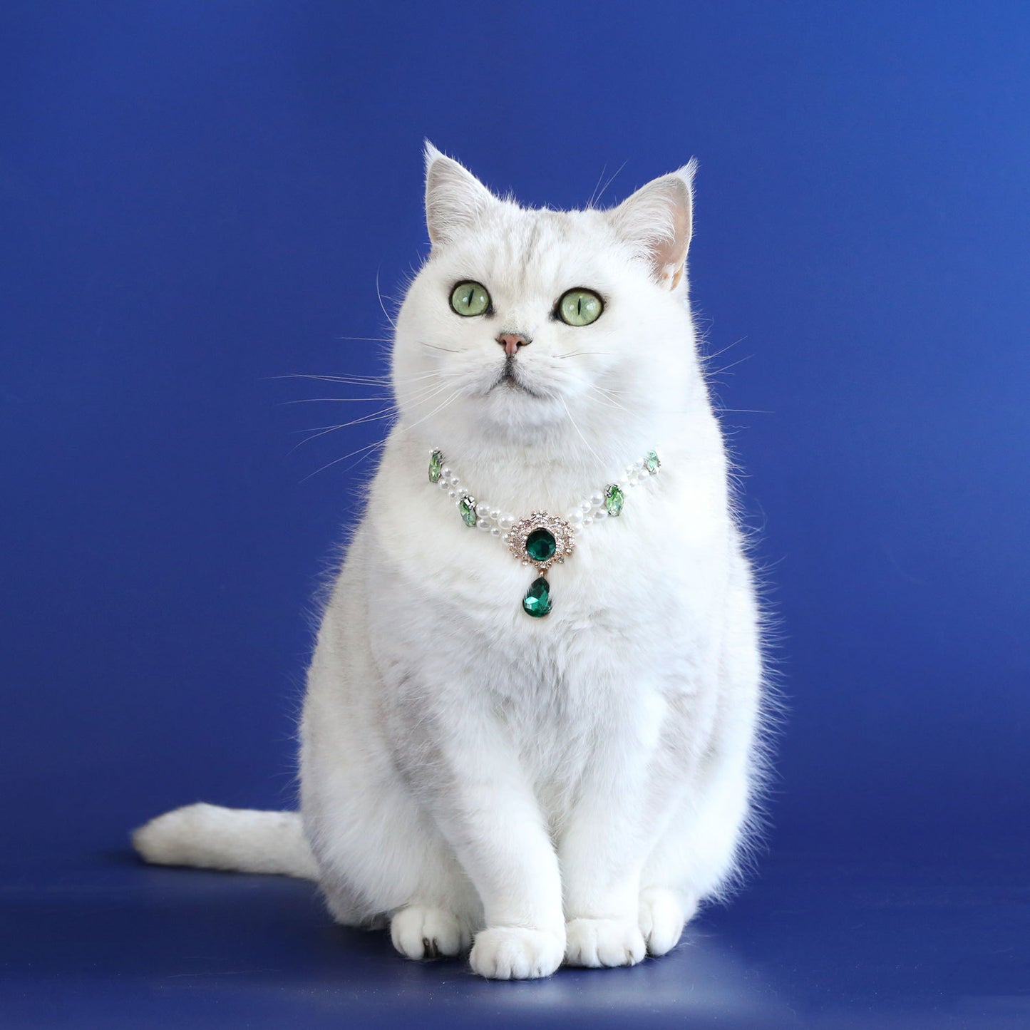 White cat wearing emerald green pearl pet necklace
