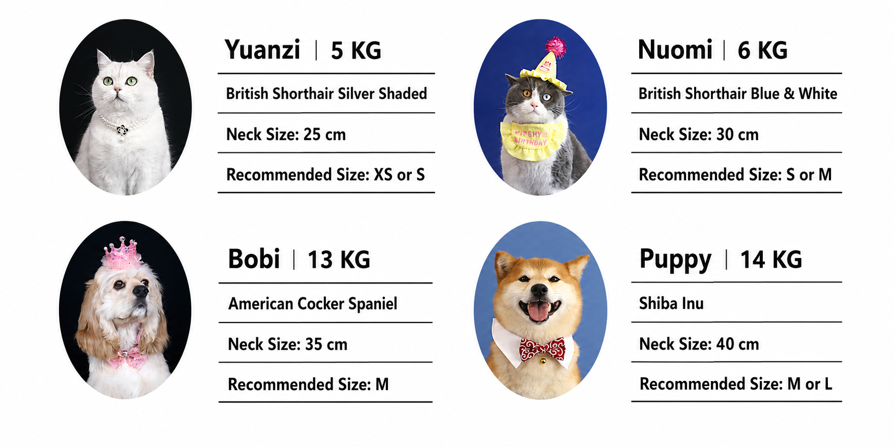 Pet neck measurement and size recommendation guide