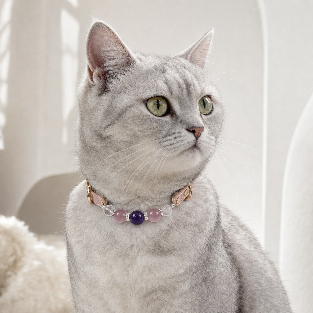 Silver cat wearing Tolan amethyst and pink quartz pet crystal collar