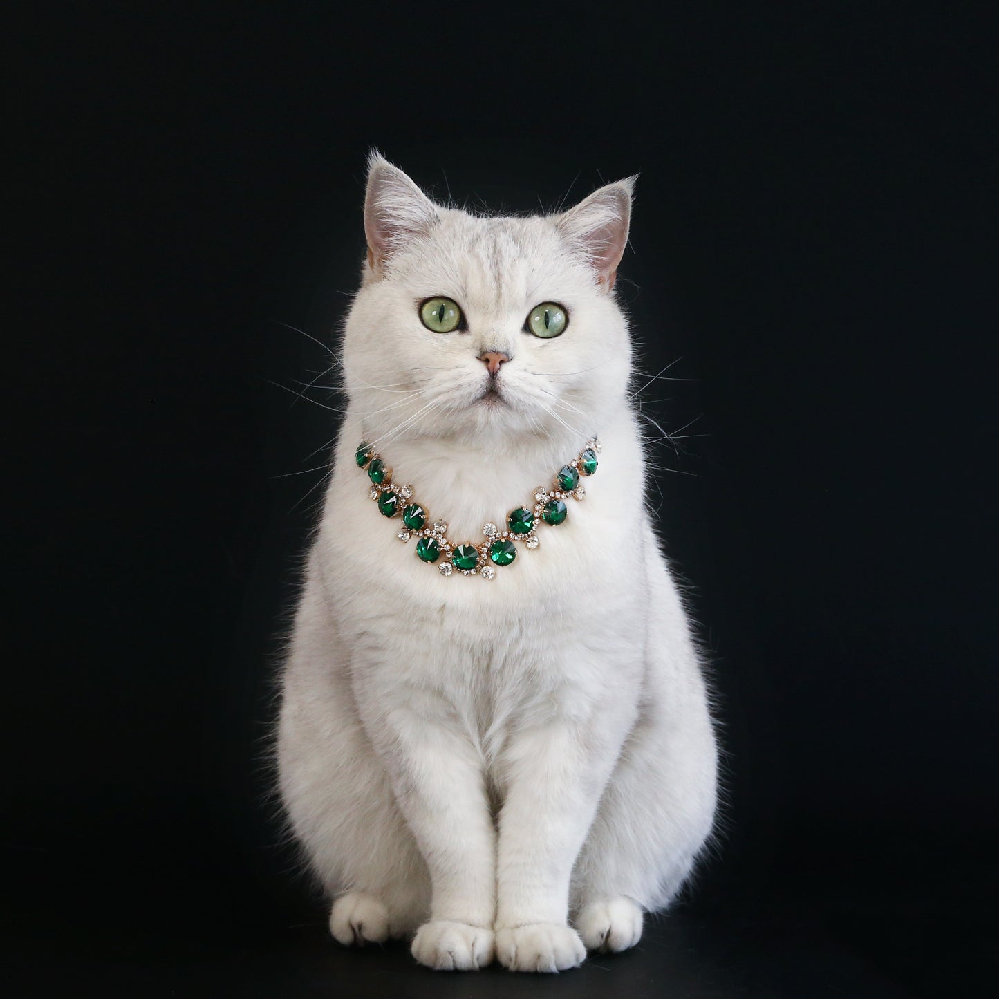 White cat wearing emerald green crystal pet necklace
