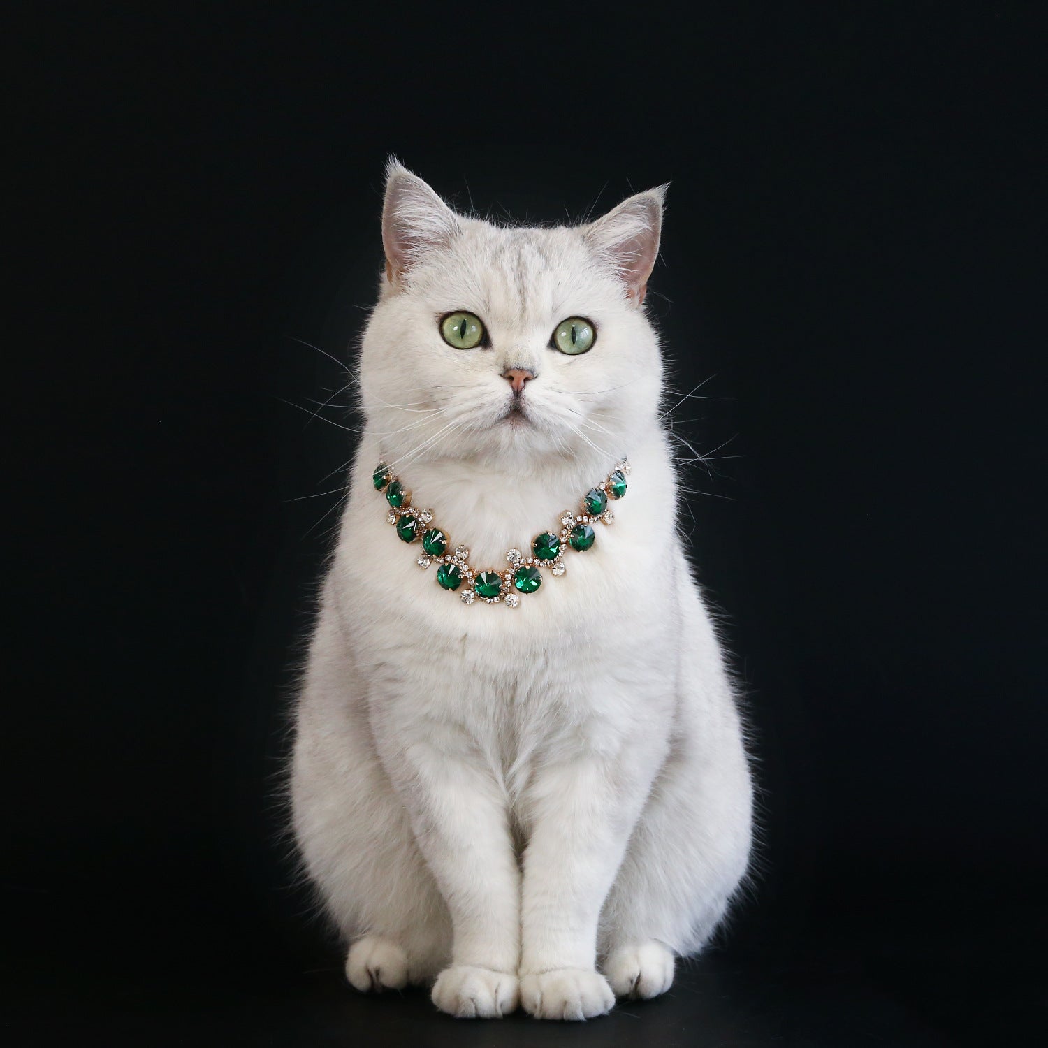 White cat wearing emerald green crystal pet necklace