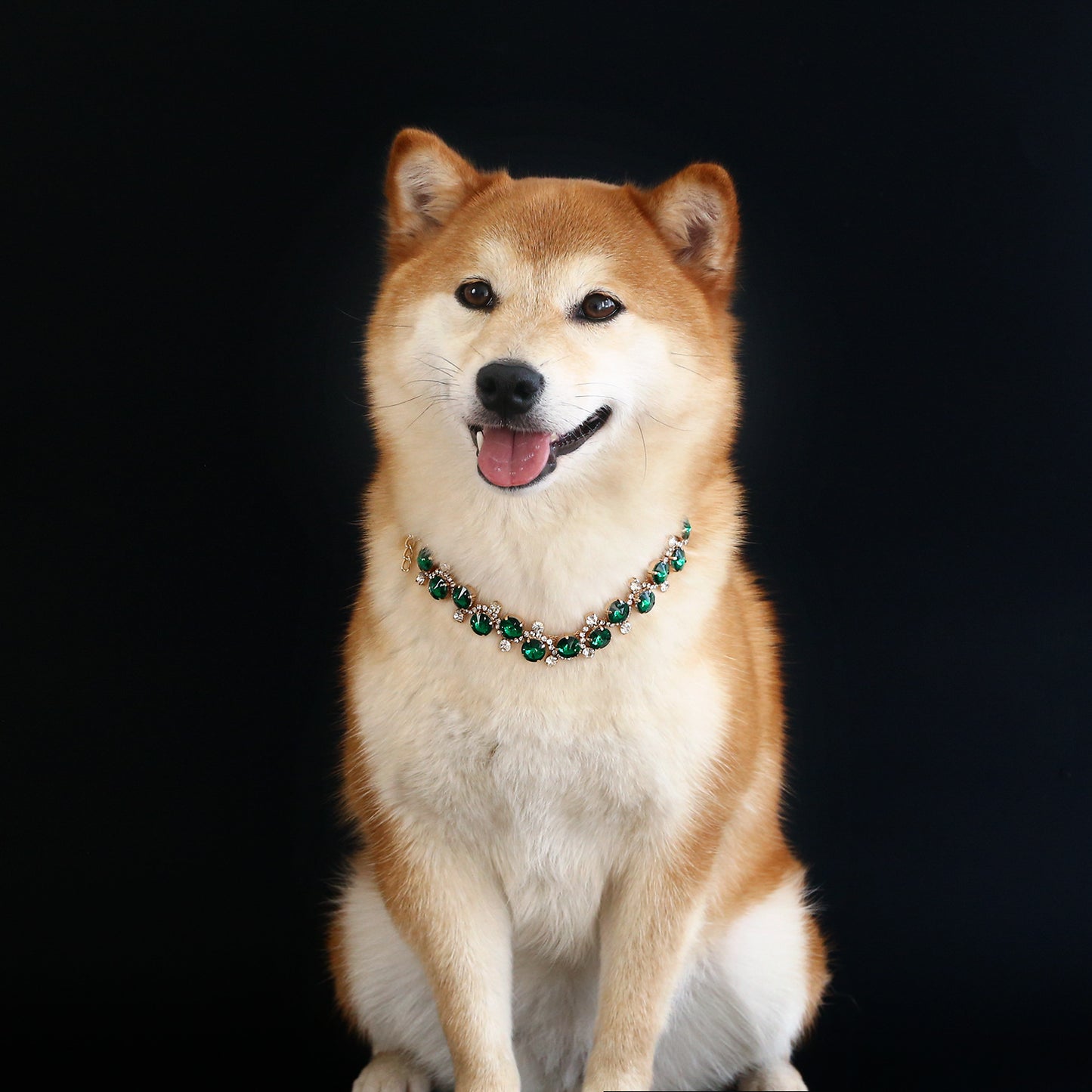 Shiba Inu wearing emerald green crystal pet necklace
