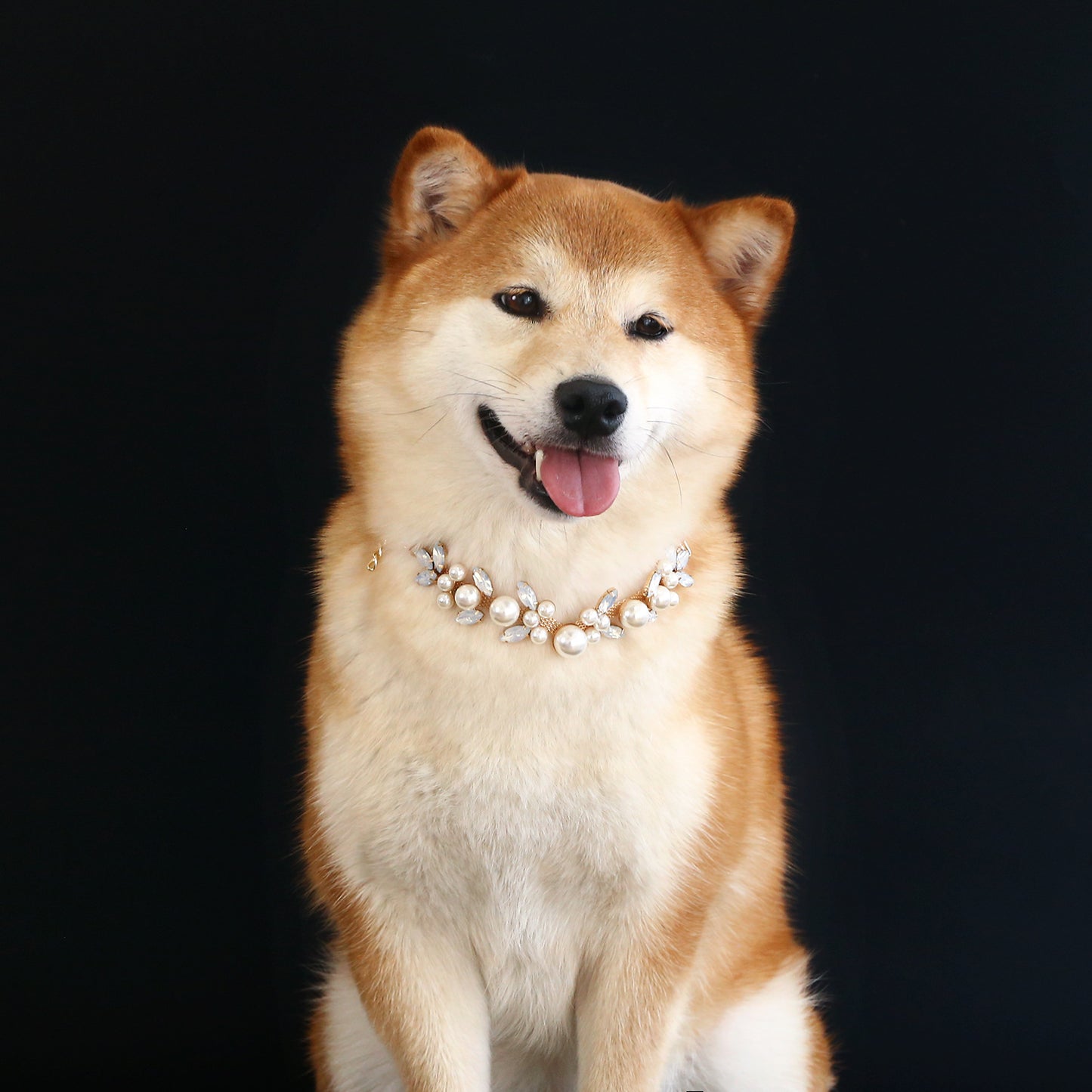 Shiba Inu wearing pearl and crystal pet necklace