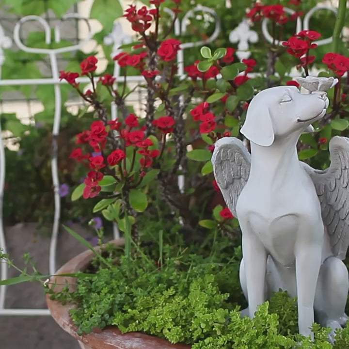 Angel dog pet memorial statue video